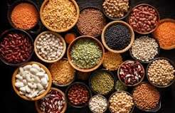 Pulses and lentils